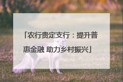 农行贵定支行：提升普惠金融 助力乡村振兴